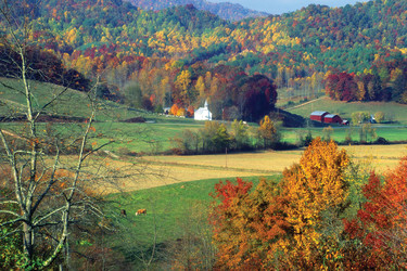 *Canceled* Land Conservation Advisory Committee Meeting: Nov. 20, 2024